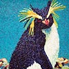 Penguin-thumbnail